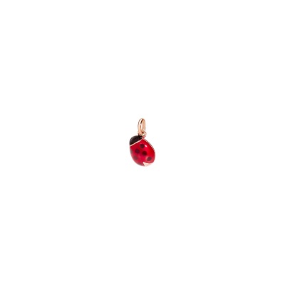 Coccinella - DoDo