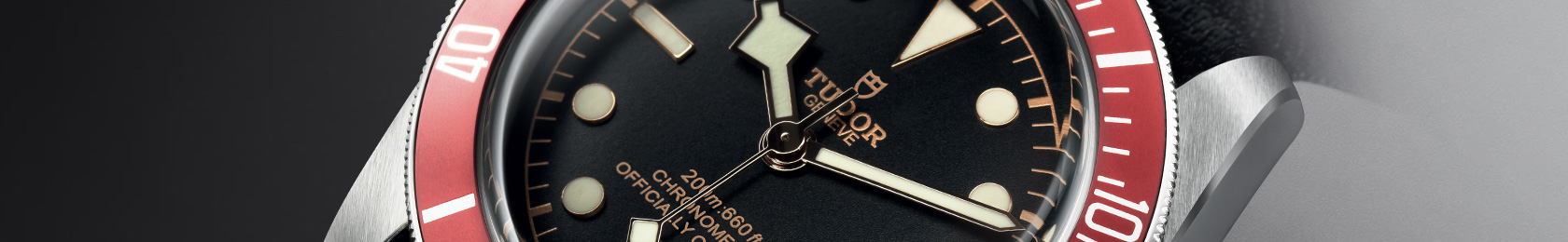 Collezione Tudor Black Bay One  