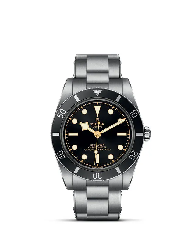 TUDOR Black Bay 54 presso 