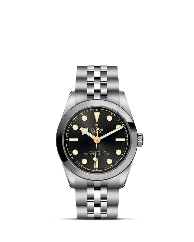 TUDOR Black Bay 31 referenza 79600 presso Gioielleria Fenocchi