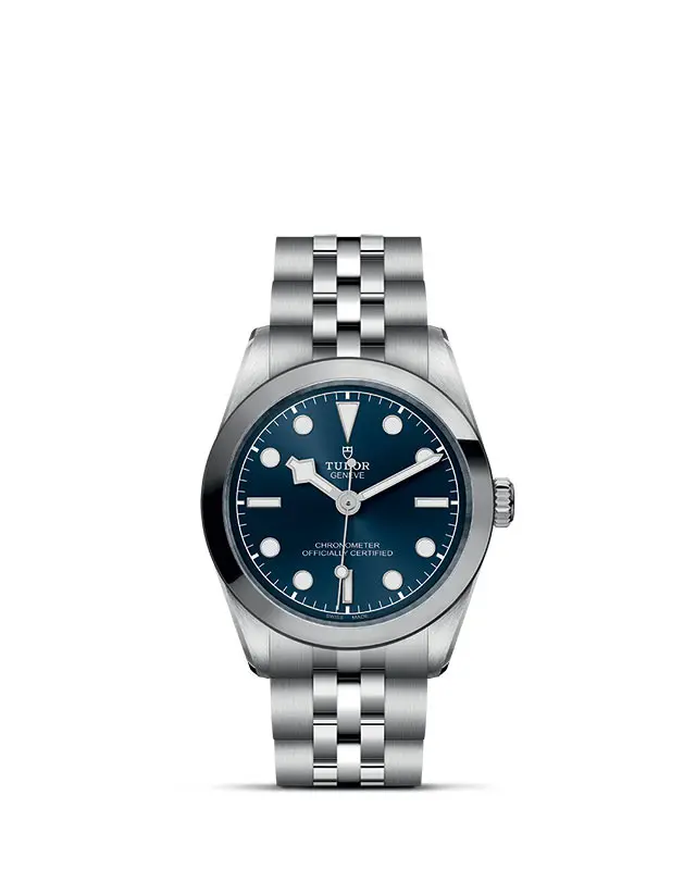 TUDOR Black Bay 31 referenza 79600 presso Gioielleria Fenocchi