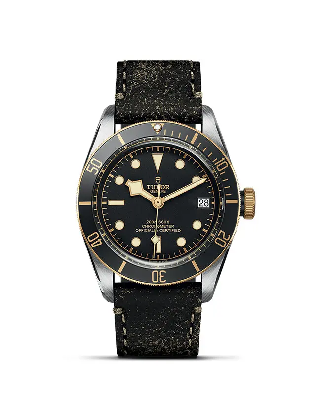 TUDOR Black Bay S&G