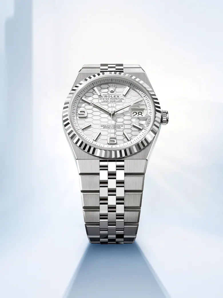 Rolex Land‑Dweller presso Gioielleria Fenocchi  a San Benedetto del Tronto